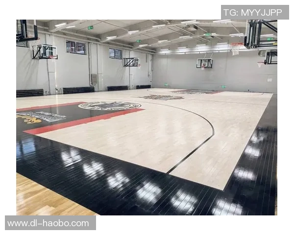 2023年体育运动地板十大品牌推荐与选购指南助您打造完美运动空间